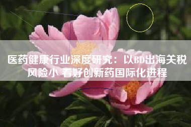 医药健康行业深度研究：以BD出海关税风险小 看好创新药国际化进程