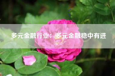 多元金融行业：多元金融稳中有进