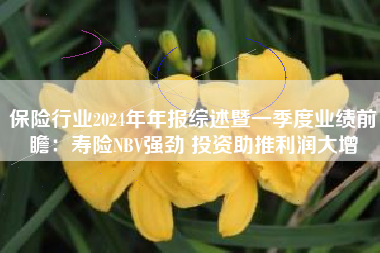 保险行业2024年年报综述暨一季度业绩前瞻：寿险NBV强劲 投资助推利润大增