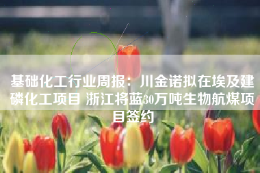 基础化工行业周报：川金诺拟在埃及建磷化工项目 浙江将蓝30万吨生物航煤项目签约