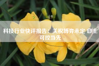 科技行业快评报告：关税博弈未定 自主可控当先