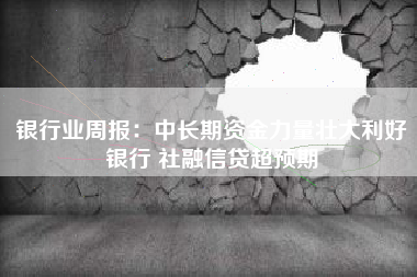 银行业周报：中长期资金力量壮大利好银行 社融信贷超预期