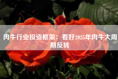 肉牛行业投资框架：看好2025年肉牛大周期反转