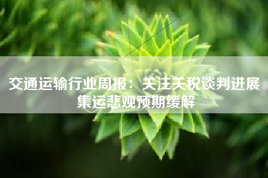 交通运输行业周报：关注关税谈判进展 集运悲观预期缓解