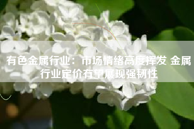 有色金属行业：市场情绪高度挥发 金属行业定价有望展现强韧性