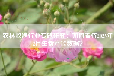 农林牧渔行业专题研究：如何看待2025年2月生猪产能数据？