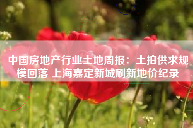 中国房地产行业土地周报：土拍供求规模回落 上海嘉定新城刷新地价纪录