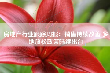 房地产行业跟踪周报：销售持续改善 多地放松政策陆续出台