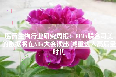 医药生物行业研究周报：BIMA联合司美的数据将在ADA大会读出 减重进入高质量时代