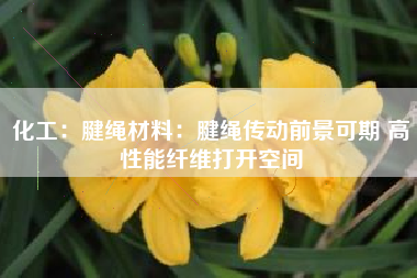 化工：腱绳材料：腱绳传动前景可期 高性能纤维打开空间