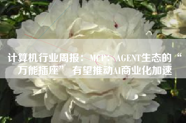 计算机行业周报：MCP：AGENT生态的“万能插座” 有望推动AI商业化加速