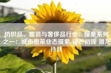 纺织品、服装与奢侈品行业：摸象系列之一：城市奥莱业态摸索-锋芒初现 潜龙待跃