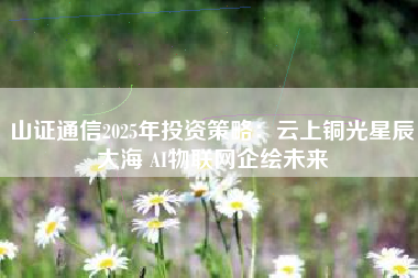 山证通信2025年投资策略：云上铜光星辰大海 AI物联网企绘未来