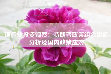 银行业投资观察：特朗普政策组合影响分析及国内政策应对