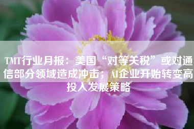TMT行业月报：美国“对等关税”或对通信部分领域造成冲击；AI企业开始转变高投入发展策略