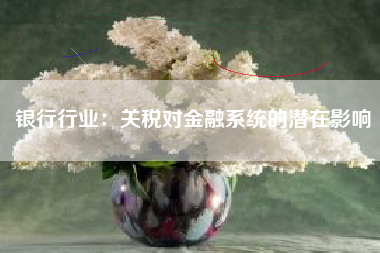 银行行业：关税对金融系统的潜在影响