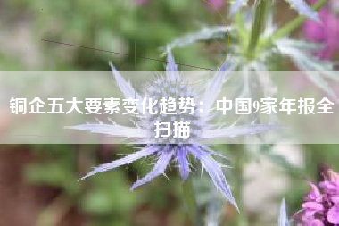 铜企五大要素变化趋势：中国9家年报全扫描