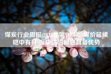 煤炭行业周报(2025年第14期)：煤价延续稳中有升 板块估值股息具备优势
