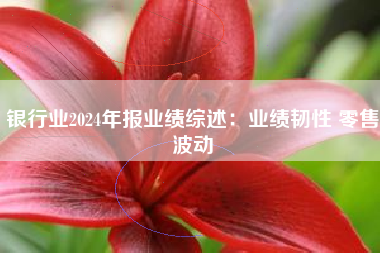 银行业2024年报业绩综述：业绩韧性 零售波动