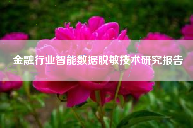 金融行业智能数据脱敏技术研究报告