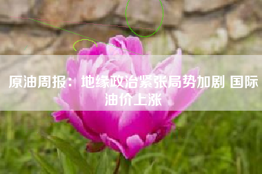 原油周报：地缘政治紧张局势加剧 国际油价上涨