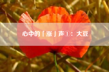 心中的「涨」声①：大豆