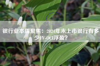 银行业本周聚焦：2024年末上市银行有多少FV-OCI浮盈？