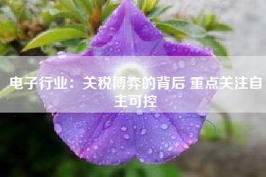 电子行业：关税博弈的背后 重点关注自主可控