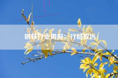 钢铁行业周报：行稳致远