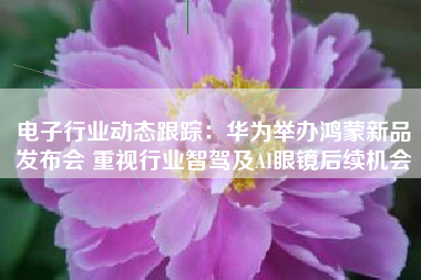 电子行业动态跟踪：华为举办鸿蒙新品发布会 重视行业智驾及AI眼镜后续机会
