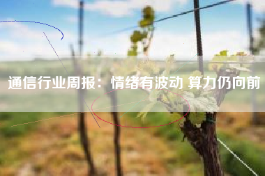 通信行业周报：情绪有波动 算力仍向前