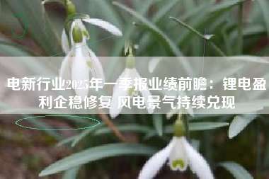 电新行业2025年一季报业绩前瞻：锂电盈利企稳修复 风电景气持续兑现