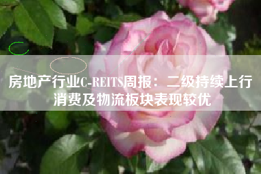 房地产行业C-REITS周报：二级持续上行 消费及物流板块表现较优