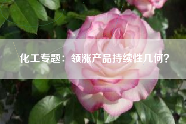 化工专题：领涨产品持续性几何？