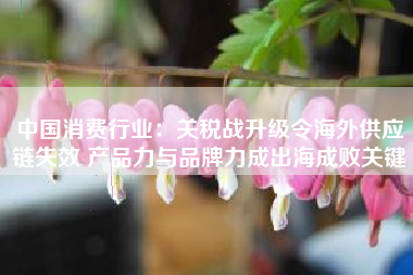 中国消费行业：关税战升级令海外供应链失效 产品力与品牌力成出海成败关键