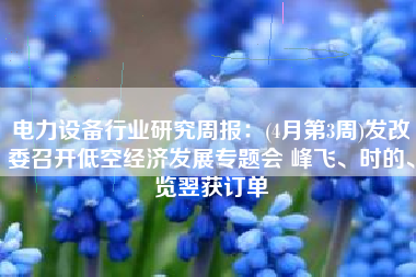 电力设备行业研究周报：(4月第3周)发改委召开低空经济发展专题会 峰飞、时的、览翌获订单