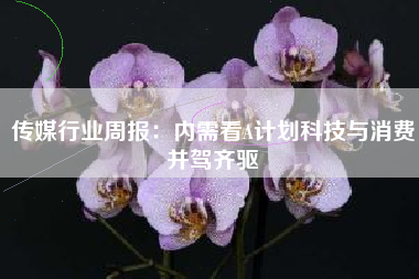 传媒行业周报：内需看A计划科技与消费并驾齐驱