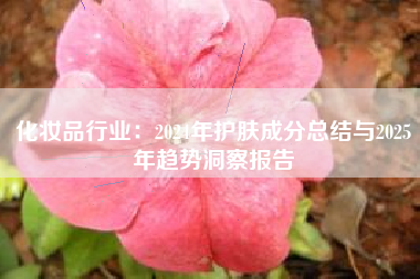 化妆品行业：2024年护肤成分总结与2025年趋势洞察报告