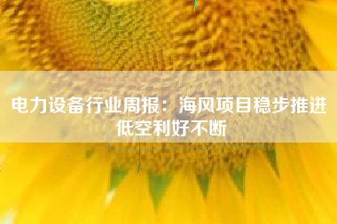 电力设备行业周报：海风项目稳步推进 低空利好不断