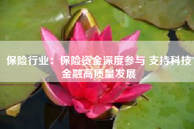 保险行业：保险资金深度参与 支持科技金融高质量发展