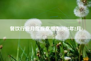 餐饮行业月度观察报告(2025年2月)