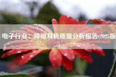 电子行业：降噪耳机质量分析报告(2025版)