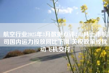 航空行业2025年3月数据点评：3月上市航司国内运力投放同比下滑 关税政策或扰动飞机交付