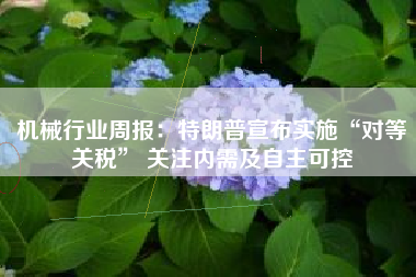 机械行业周报：特朗普宣布实施“对等关税” 关注内需及自主可控
