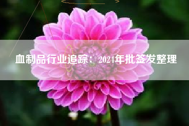 血制品行业追踪：2024年批签发整理