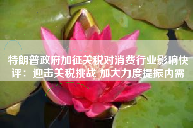 特朗普政府加征关税对消费行业影响快评：迎击关税挑战 加大力度提振内需