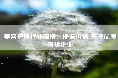 美容护理行业周报：提振内需 关注优质国货企业
