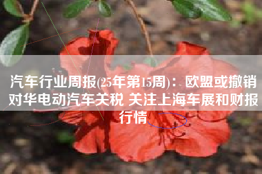 汽车行业周报(25年第15周)：欧盟或撤销对华电动汽车关税 关注上海车展和财报行情