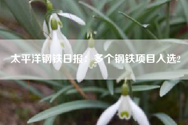 太平洋钢铁日报：多个钢铁项目入选2