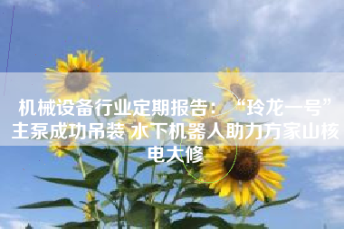 机械设备行业定期报告：“玲龙一号”主泵成功吊装 水下机器人助力方家山核电大修